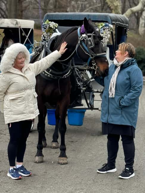 image n.2 of NYC Private Central Park Horse Carriage Ride with Guide activity in New York City, uploaded by supplier