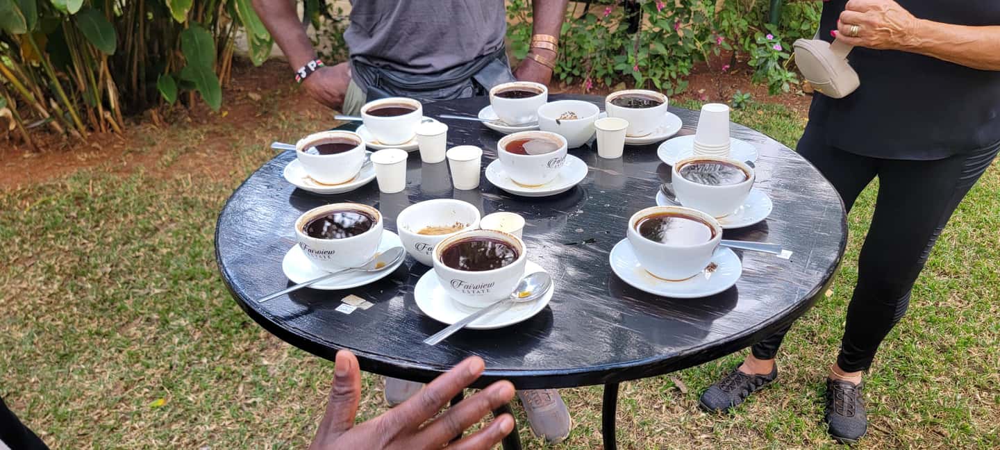 image n.81 of Coffee Farm Tour (Fairview) activity in Kiambu, uploaded by supplier