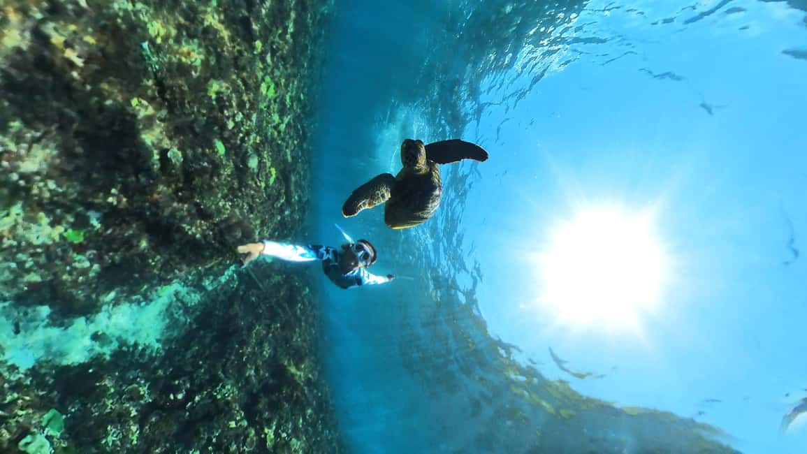 image n.5 of From Lembongan: Nusa Penida Snorkeling Day Trip activity in Bali, uploaded by supplier