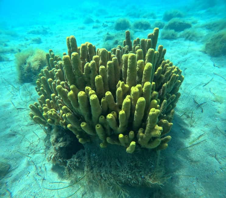 image n.13 of Sithonia: Scuba Diving Experience for Beginners activity in Nikiti, uploaded by supplier
