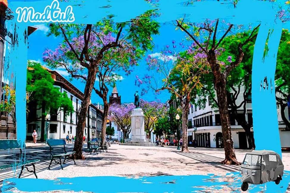 image n.8 of Madeira: Botanical Gardens + Old Town Tuk-Tuk Tour by MadTuk activity in Funchal, uploaded by supplier