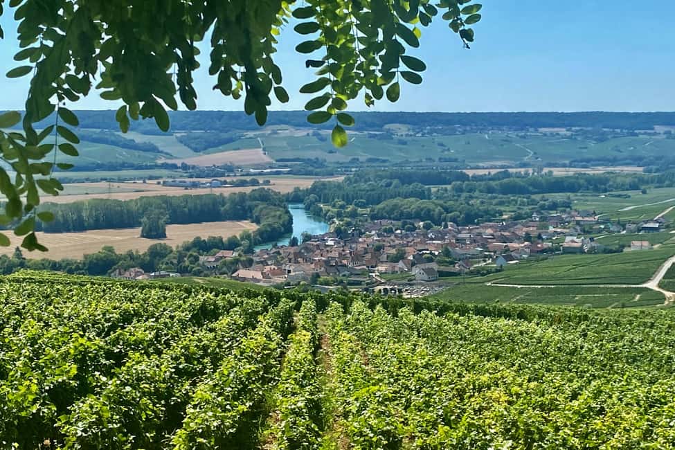 image n.7 of Private Champagne Ruinart, Moet Chandon VIP Tour by Mercedes activity in Reims, uploaded by supplier