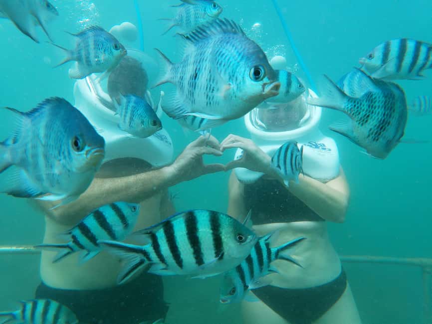 image n.11 of Cham Island: Underwater Walking & Snorkeling Tour activity in Hoi An, uploaded by supplier