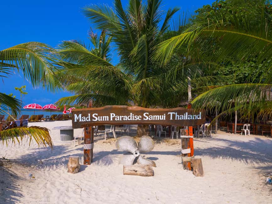 Ko Samui: privé longtailboot naar Pig Island met snorkelen GetYourGuide