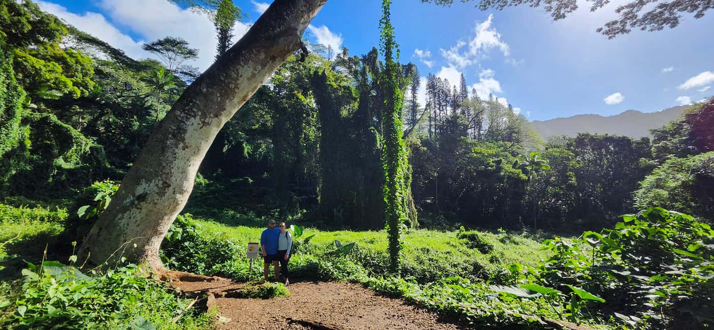 Immagine nº 28 di Oahu: Giro in bici elettrica a Waikiki ed escursione alle cascate di Manoa attività a Honolulu, caricata dal fornitore