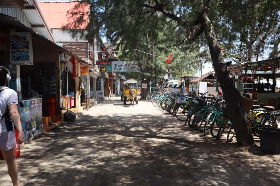 imagem n.12 de De Lombok: Viagem de 1 dia para mergulho com snorkel nas Ilhas Gili atividade em Sonda Ocidental, carregada pelo fornecedor