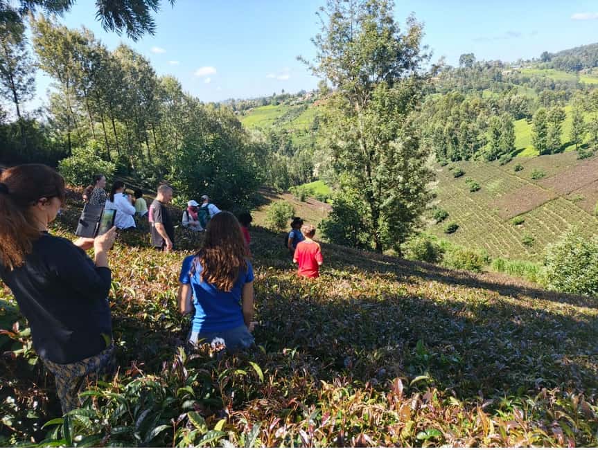 image n.11 of Purple Tea Farm Tour from Nairobi - Explore Gatura Greens activity in Thika, uploaded by supplier