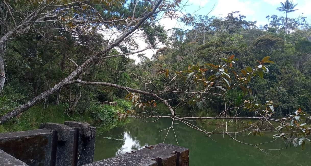 image n.6 of Madagascar: Indri Lemur Encounter Experience 4-days trip activity in Antananarivo Renivohitra, uploaded by supplier