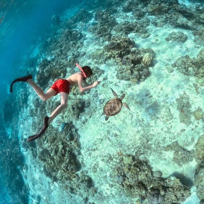 image n.4 of Gili Islands: Private or Shared Snorkeling Boat Trip activity in West Nusa Tenggara, uploaded by supplier