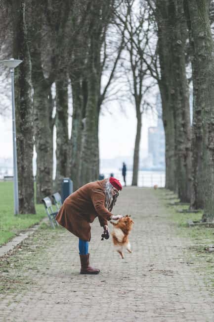image n.17 of Rotterdam: Private Photoshoot with a Local Photographer activity in Rotterdam, uploaded by supplier