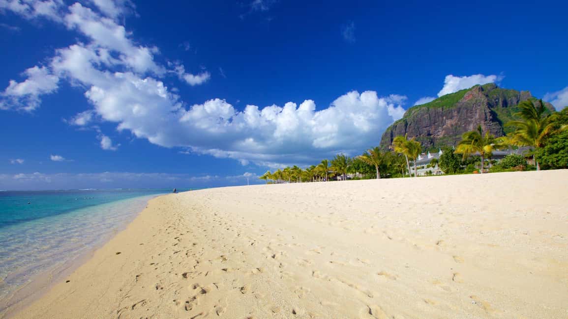 bild nr.15 av Södra Mauritius: Heldag Privat med lunch & Chamarel aktivitet i Mauritius, uppladdad av arrangören