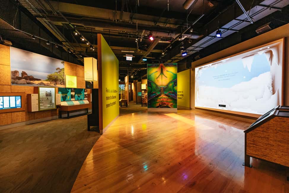 image n.18 of Chicago: Field Museum of Natural History Ticket or VIP Tour activity in Chicago, uploaded by supplier