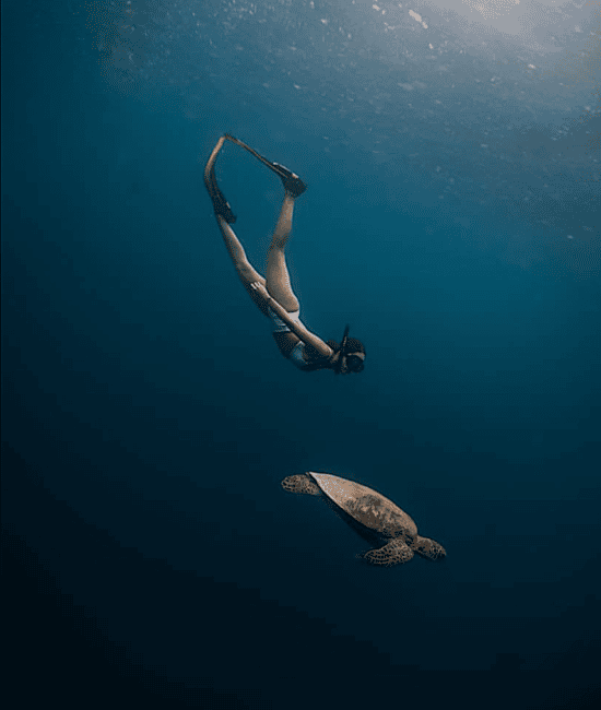 imagem n.3 de Cebu Oslob WhaleShark,Inambakan Falls& Moalboal Sardines Run atividade em Oslob, carregada pelo fornecedor