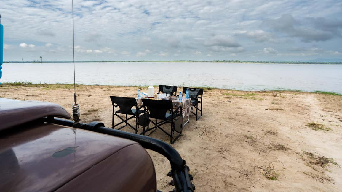 image n.68 of From Zanzibar: Day Selous Game Reserve Safari with Flights activity in Morogoro Region, uploaded by supplier