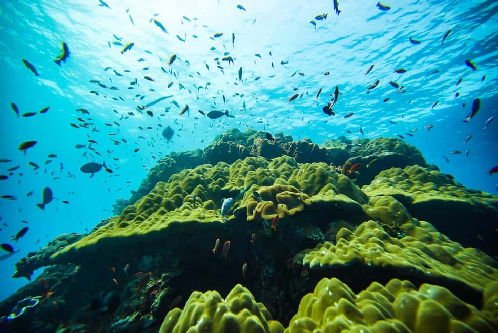 imagem n.59 de Bali: Nusa Penida Speedboat Trip com Snorkeling e Tour atividade em Bali, carregada pelo fornecedor