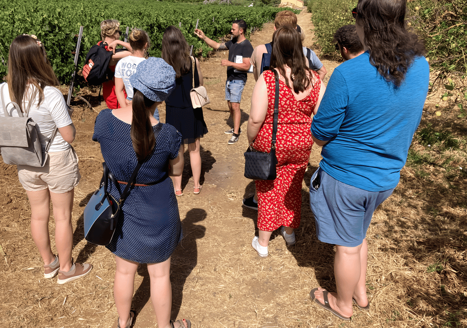 imagen n.º 19 de Málaga: Visita a viñedos y bodegas con 6 vinos de primera y tapas actividad en Málaga, subida por el proveedor