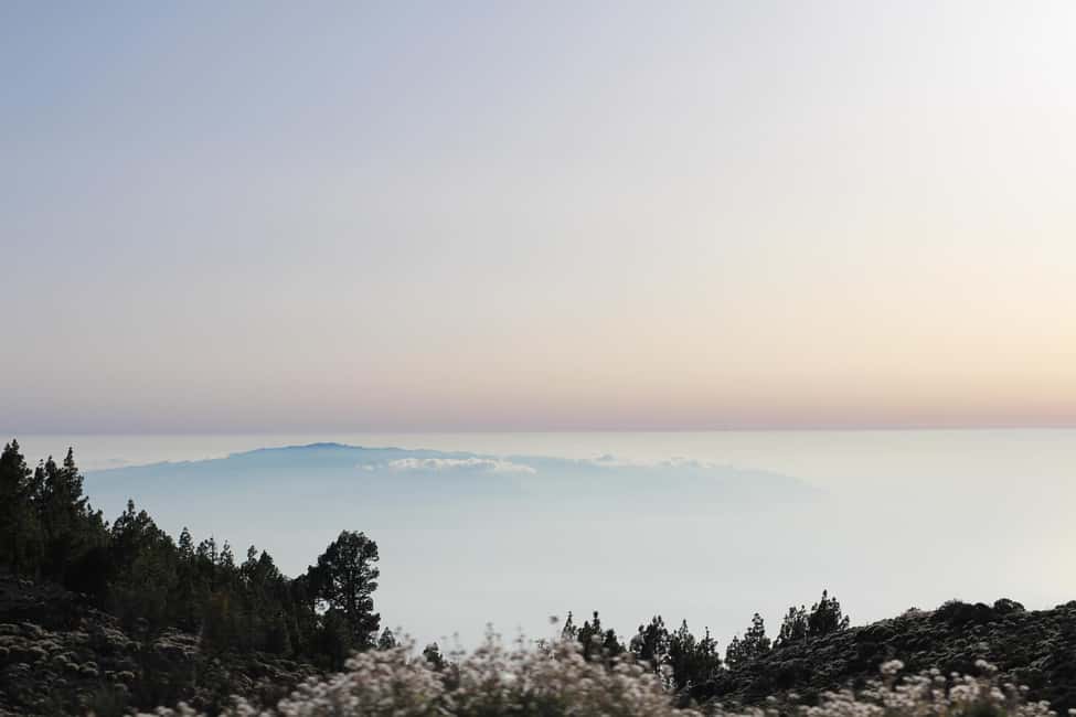 billede nr.7 af aktiviteten Tenerife: MORGEN - Familie 4-personers buggytur til Teide i Kanarieøerne, uploadet af udbyder