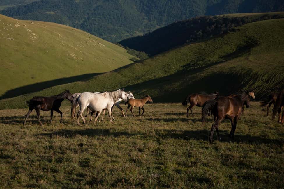 image n.1 of Adventure Tour: Adrenaline Rush in Sevan, Dilijan and Ijevan activity in Tavush Province, uploaded by supplier