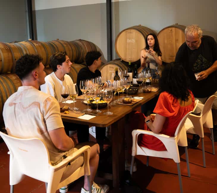 imagen n.º 16 de Málaga: Visita a viñedos y bodegas con 6 vinos de primera y tapas actividad en Málaga, subida por el proveedor