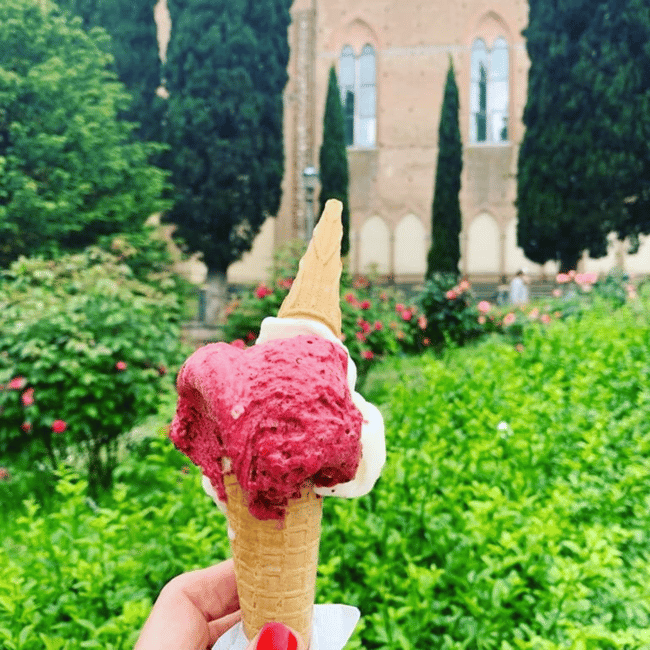 imagen n.º 4 de Degustación de vino y helado de Siena actividad en Siena, subida por el proveedor