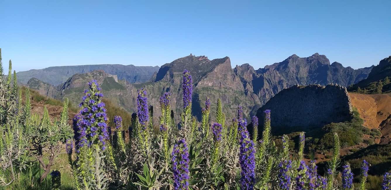 Bild Nr. 8 von Tour durch den Osten Madeiras und Levada-Wanderung Aktivität in Machico, hochgeladen vom Anbieter
