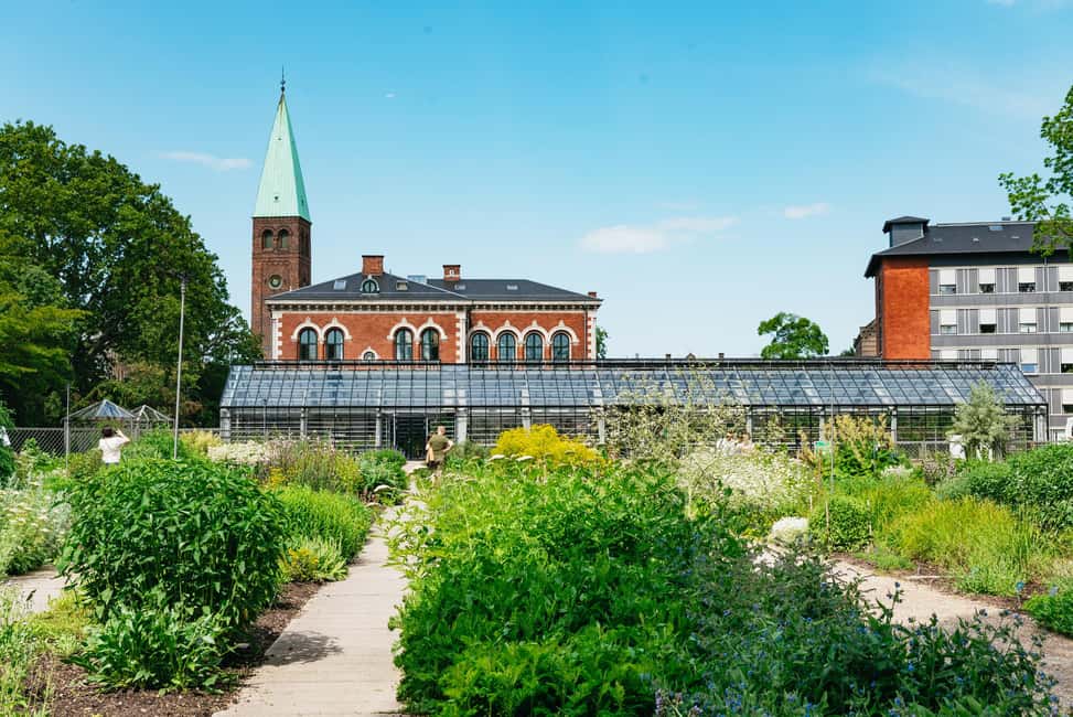 image n.10 of Copenhagen: Guided Culinary Walking Tour with Food Tastings activity in Copenhagen, uploaded by supplier