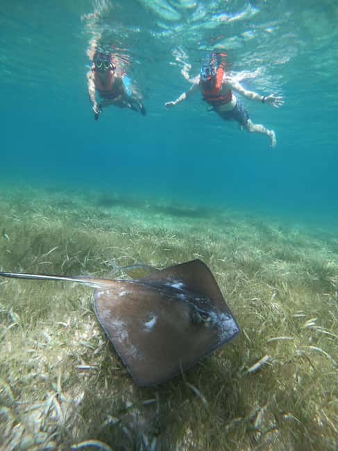 image n.26 of Akumal: Guided Turtle Snorkeling Tour and pictures activity in Akumal, uploaded by supplier