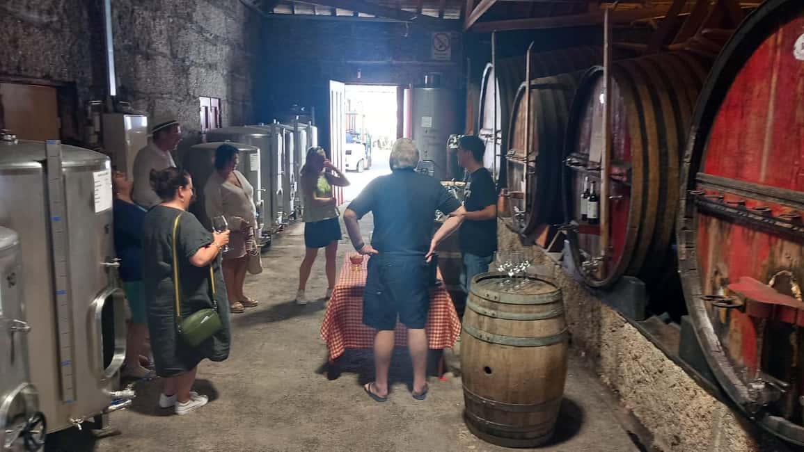 image n.34 of DOURO VALLEY: Premium Wine Tour, Winery Lunch & Private Boat activity in Peso da Régua, uploaded by supplier