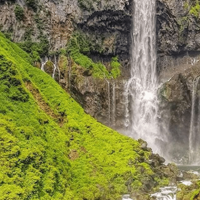 Immagine nº 1 di Tokyo: Tour privato imperdibile di Nikko, patrimonio dell'umanità dell'Unesco attività a Nikkō, caricata dal fornitore