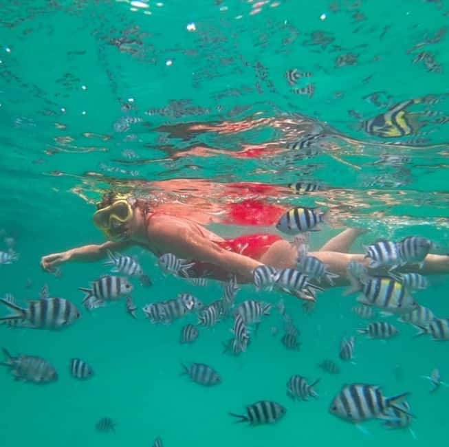 image n.11 of Zanzibar: Blue lagoon, Starfish, Paje Beach and Maalum Cave activity in Pingwe, uploaded by supplier