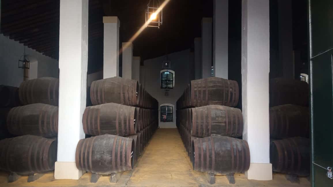 image n.8 of Jerez de la Frontera: Sherry Winery Tour with Tasting activity in Jerez de la Frontera, uploaded by supplier
