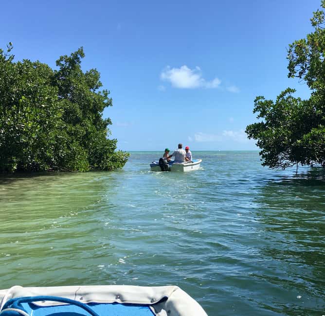 imagen n.º 1 de Cayo Hueso Excursión en lancha por los Manglares y los Bares actividad en Cayo Hueso, subida por el proveedor