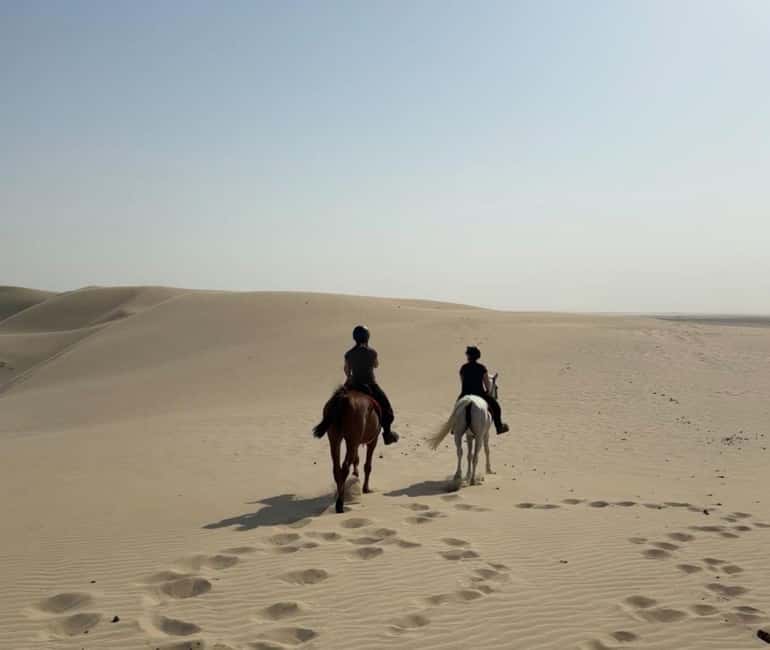 Bild Nr. 4 von Doha Reitabenteuer in der Wüste mit Transfers Aktivität in Doha, hochgeladen vom Anbieter