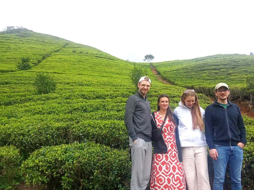 image n.26 of Nuwara Eliya Full day: 5Waterfalls, 2Tea Test & pick by TUK activity in Nuwara Eliya, uploaded by supplier
