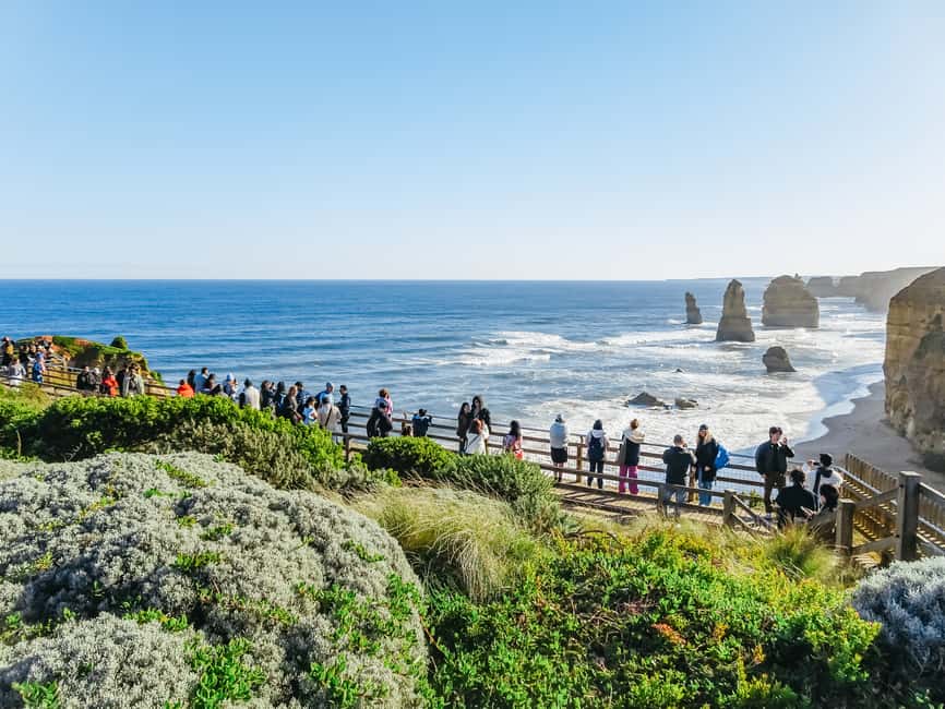 image n.3 of From Melbourne: Great Ocean Road, 12 Apostles, Wildlife Tour activity in Melbourne, uploaded by supplier