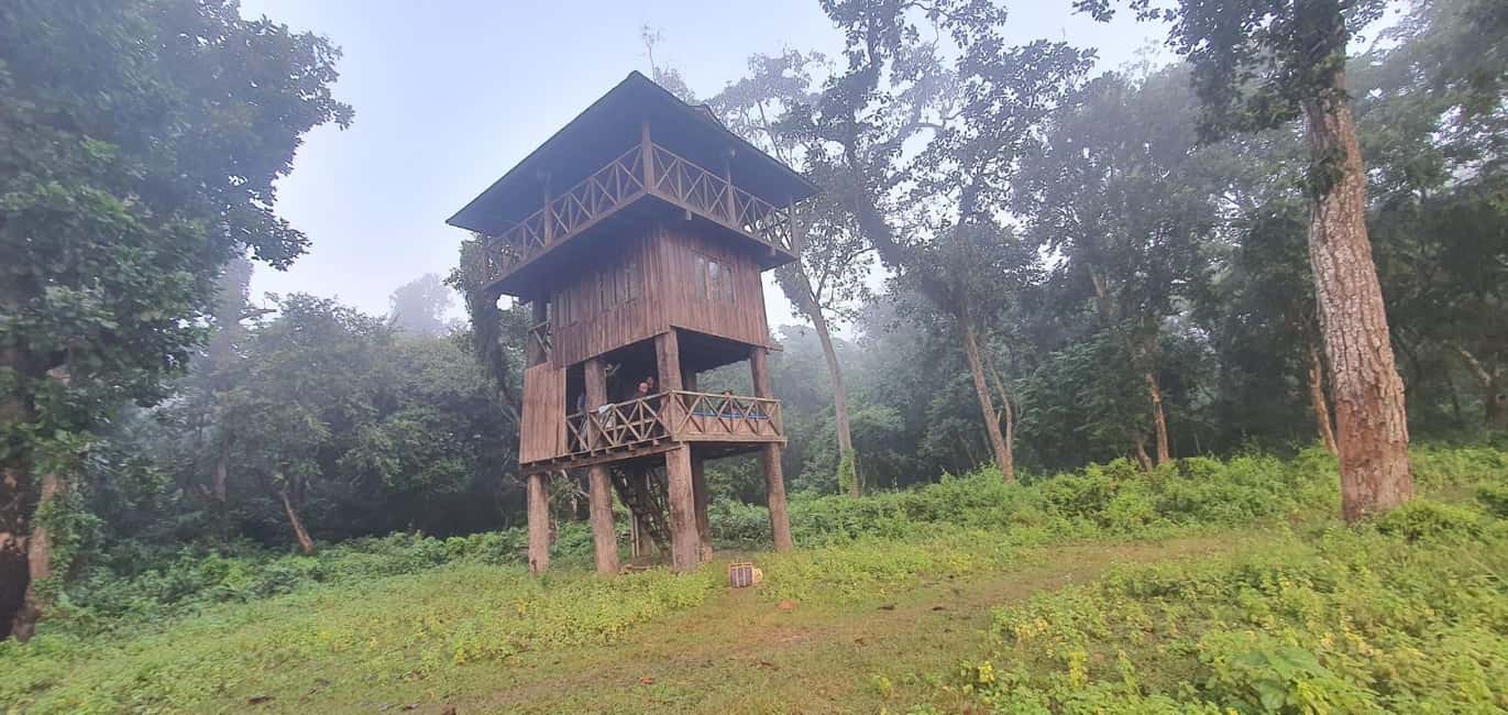 Immagine nº 9 di 3 notti 4 giorni Parco nazionale di Chitwan con pernottamento nella torre attività a Regione di Sviluppo Occidentale, caricata dal fornitore