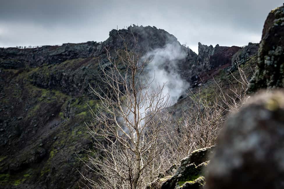 bild nr.8 av Från Sorrento: Pompeji och Vesuvius guidad tur med lunch aktivitet i Pompei, Kampanien, uppladdad av arrangören