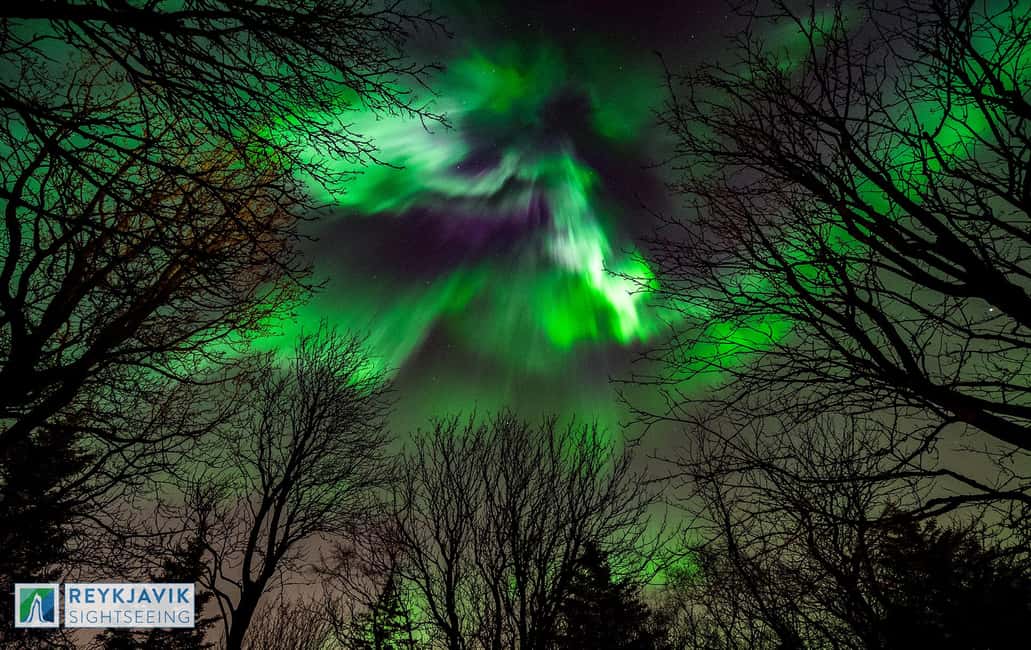 imagen n.º 2 de Islandia: Costa Sur y Aurora Boreal actividad en Reikiavik, subida por el proveedor