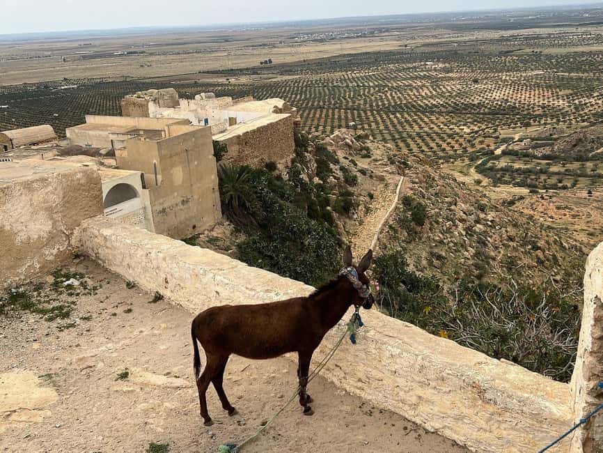 image n.11 of Takrouna and Zriba El Alia Berber Villages Day Trip activity in Hammamet, uploaded by supplier