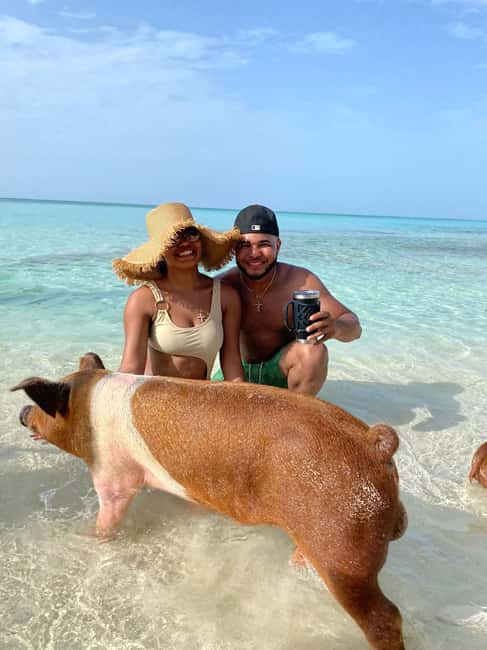 Image N°10 de Nassau : Cochons, plongée en apnée, tortues, déjeuner, club de plage privé activité à New Providence, publiée par le prestataire