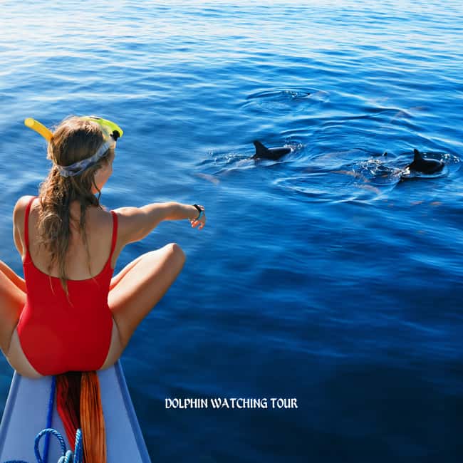 Immagine nº 1 di Tour di avvistamento dei delfini e snorkeling con trasferimenti dall'hotel attività a Mascate, caricata dal fornitore