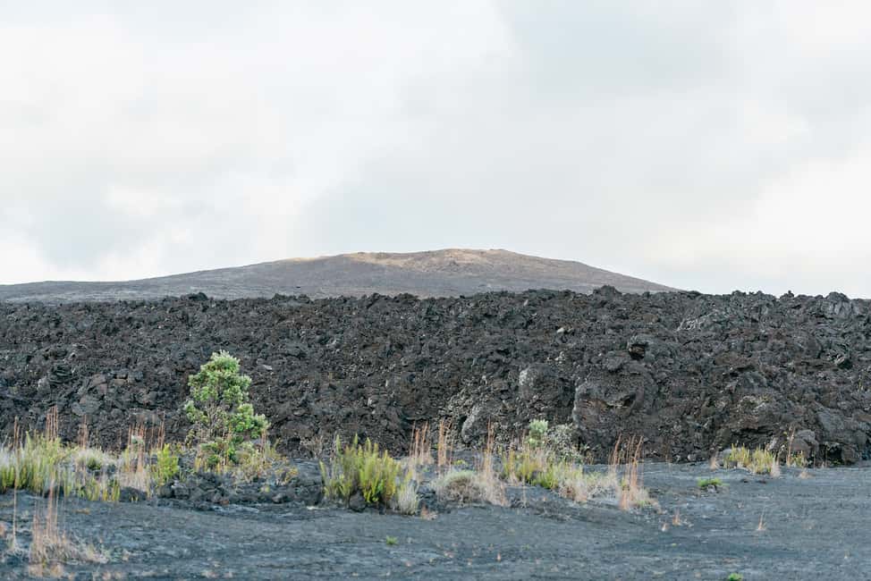 Immagine nº 22 di Isola Grande: Esploratore serale del vulcano da Hilo attività a Hawaii, caricata dal fornitore