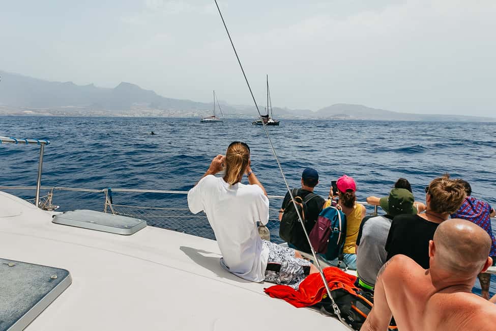 billede nr.7 af aktiviteten Costa Adeje: Hvalsafari med katamaran og drikkevarer i Costa Adeje, uploadet af udbyder