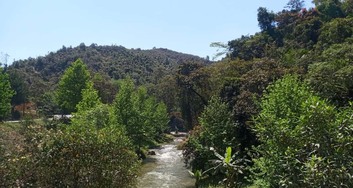 image n.9 of Madagascar: Indri Lemur Encounter Experience 4-days trip activity in Antananarivo Renivohitra, uploaded by supplier