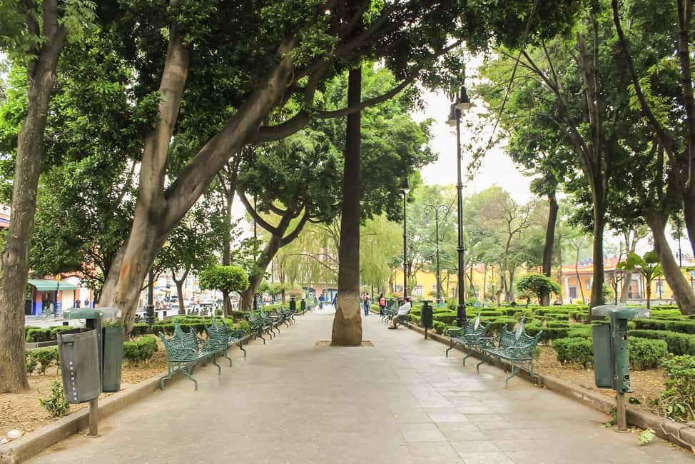 image n.18 of CDMX: Xochimilco, Coyoacan, Frida Kahlo Museum & Murals Tour activity in Mexico City, uploaded by supplier