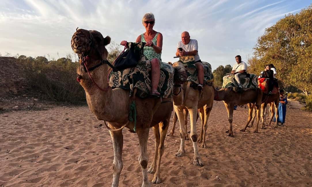 imagen n.º 4 de Desde Agadir: Paseo en Camello y Excursión a los Flamencos actividad en Sus-Masa-Draa, subida por el proveedor
