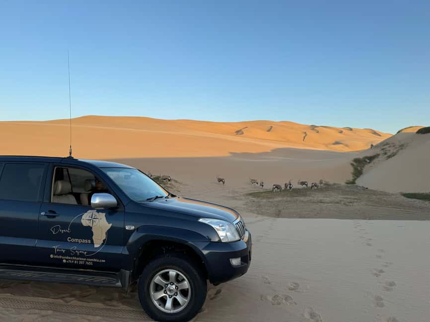 image n.94 of Walvisbay: Sandwich Harbour 4x4 Tour-Unparalleled Experience activity in Erongo, uploaded by supplier