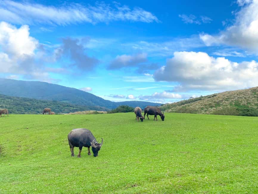 image n.4 of Taipei: Yangmingshan & Beitou Full-Day Tour activity in Taipei City, uploaded by supplier