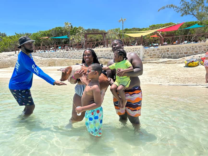 Image N°52 de Nassau : Cochons, plongée en apnée, tortues, déjeuner, club de plage privé activité à New Providence, publiée par le prestataire