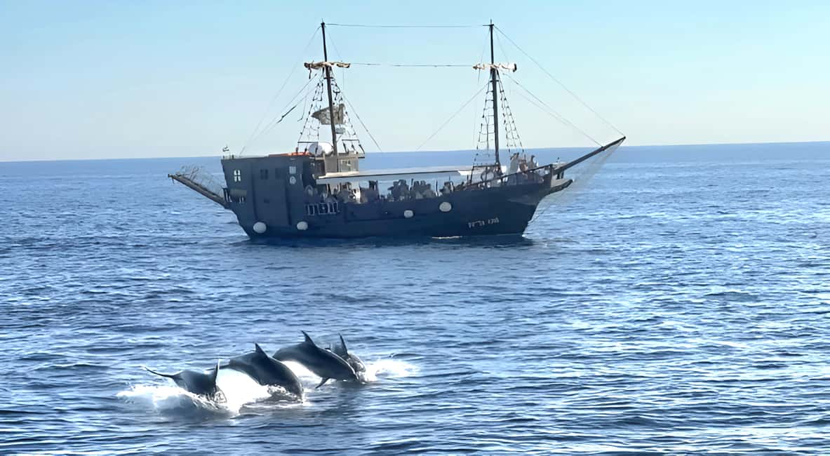 bild nr.2 av Vrsar: Båtresa med delfinskådning aktivitet i Vrsar, uppladdad av arrangören